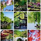 游宁波「景」令人流连忘返富有历史底蕴和人文景观的城市湖泊公园