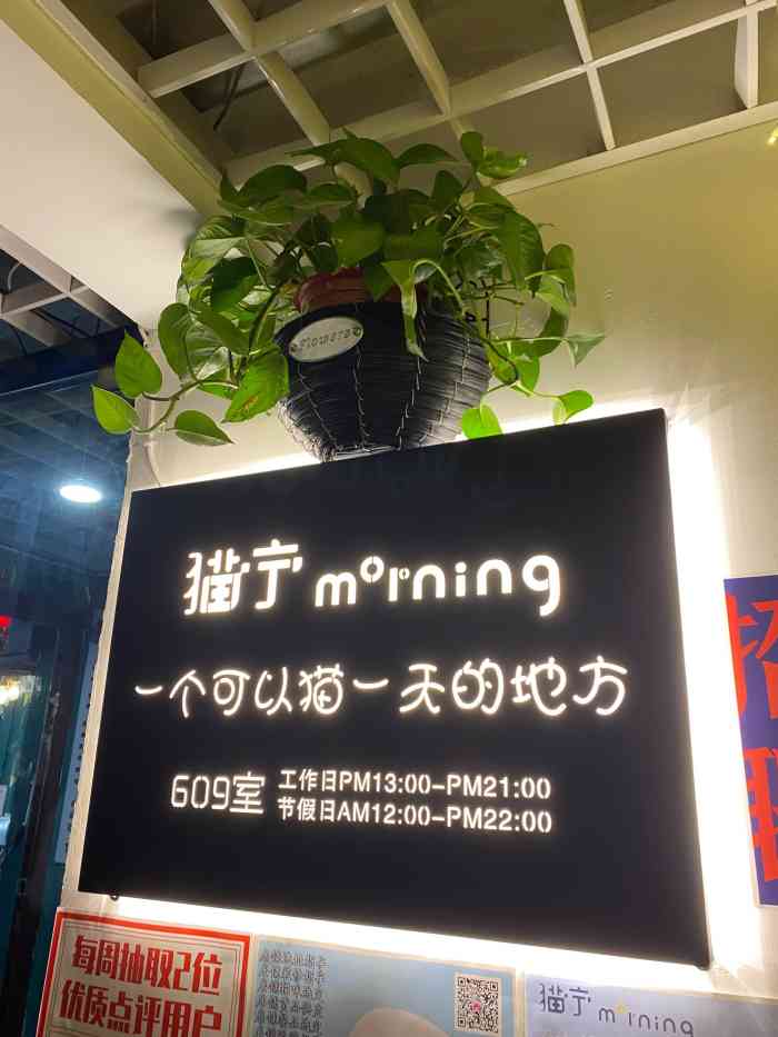 猫宁猫咖·狗咖·桌游小屋-"因为发生了很难过的事,所以整个人心情都