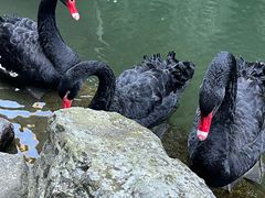 -苍山世界地质公园·石门关大峡谷