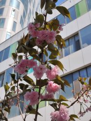 -大连市妇女儿童医疗中心(希望广场儿童院区)