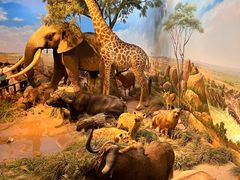 -陕西自然博物馆