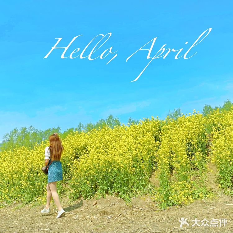 在天津也有【故事里的小黄花🌼】人少景美不要票！