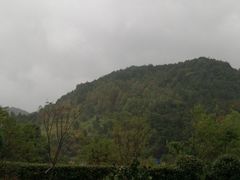 -千岛湖石林