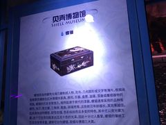 -贝壳梦幻世界