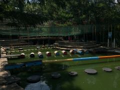 游乐设施-沈阳植物园