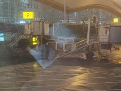 -逍遥镇刘相五胡辣汤豆沫馆(康复中街店)