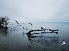 -捞渔河湿地公园