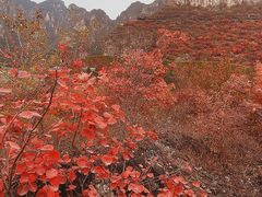 -狼牙山风景区