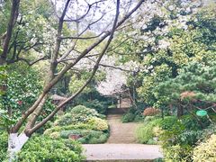 -杭州半山国家森林公园