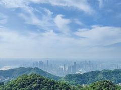 -大金鹰园
