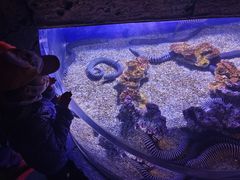 -波塞冬海底世界