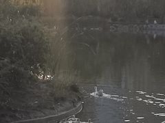 -木塔寺遗址生态公园