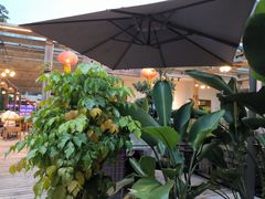 -丫口花园餐厅·融合菜
