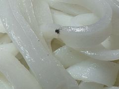-悦来悦牛潮汕牛肉火锅(大浪店)
