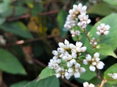 -昆山城市生态森林公园