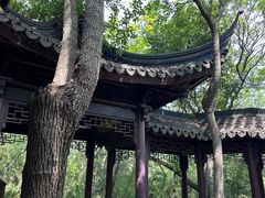 -上海佘山国家森林公园天马山园