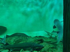 -太平洋海底世界