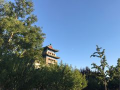 -呷哺呷哺 黄金牧场 (盛世天骄店)