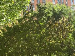 -良子健身(金融街店)