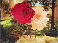 景观位-仁恒美食庭苑