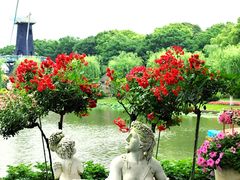 -上海鲜花港