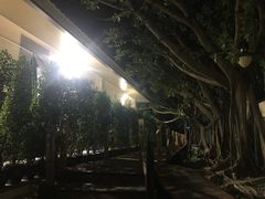 -三亚亚龙湾雅高美爵酒店