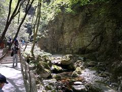 -牛背梁国家森林公园