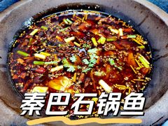 -秦巴石锅鱼(文化南路店)
