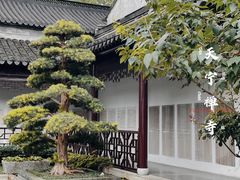 -常州天宁禅寺