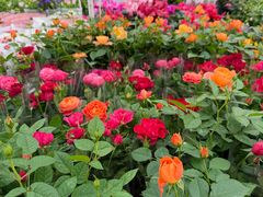 -海德温泉生活馆(朝阳大悦城店)