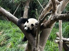 -宁波野生动物园