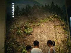 -台州博物馆