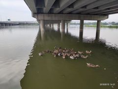 -卢沟桥文化旅游区