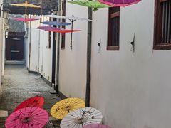 -东山雕花楼