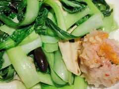 -风波庄(罍街分舵)