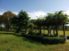 -福建鲤鱼洲酒店