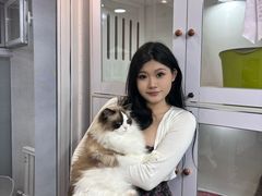 -青奢宠物·青奢猫舍