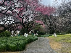 -杭州植物园