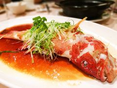 东星斑-陶陶居海鲜酒家(新马路店)