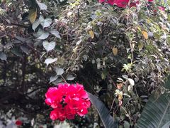 -豆舞咖啡(民乐路店)