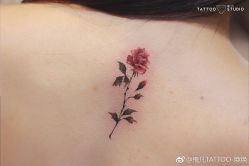 -飛凡TATTOO纹身•原创