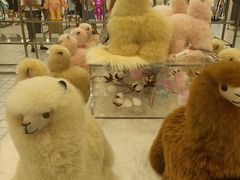 -KKV(东莞海德汇一城店)