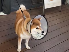 -M Stand(深圳南山欢乐颂店)