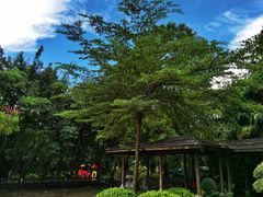 -滴水岩森林公园