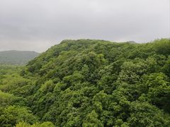 -香炉山国家森林公园