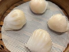 -憶廟街 X 沙角邨(太古城店)