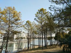-美兰湖景区