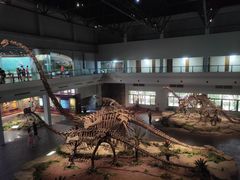 -自贡恐龙博物馆