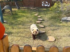 -茅山东方盐湖城景区