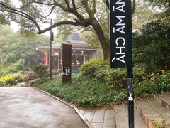 -MAMACHA妈妈茶(岳麓山店)